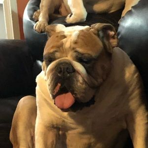 Meet your Posher, Fernando